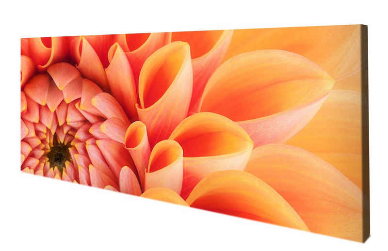 wandmotiv24 Leinwandbild Blume Blüte orange Chrysantheme, Blumen und Pflanzen (1 St), Wandbild, Wanddeko, Leinwandbilder in versch. Größen