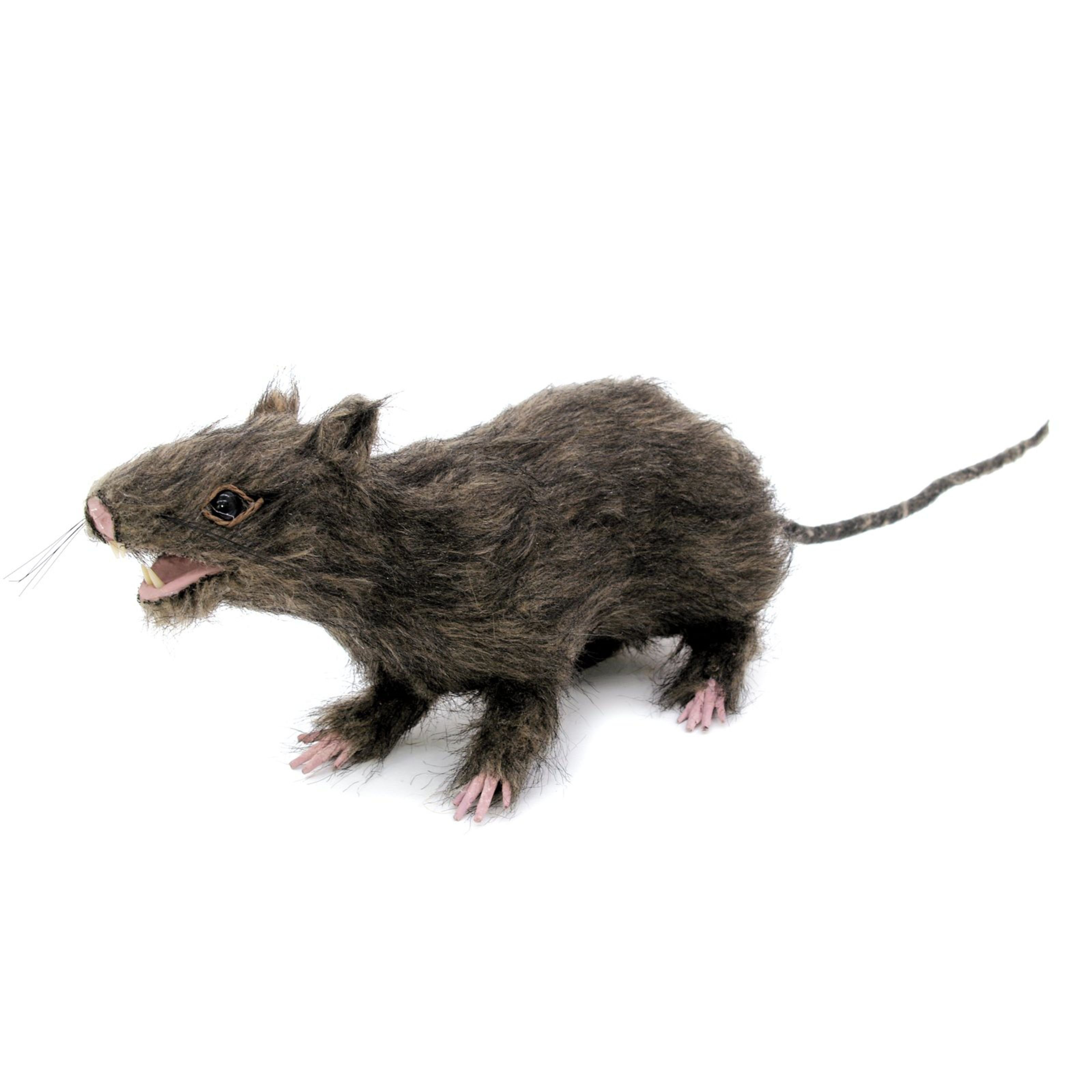EUROPALMS Dekofigur (Deko und Möbel, Halloweendeko), Ratte, lebensecht mit Fell 30cm - Halloweendeko