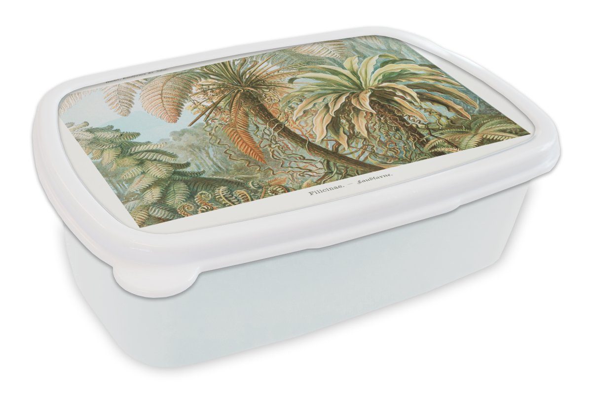 MuchoWow Lunchbox Vintage - Alte Meister - Farne - Pflanzen - Natur, Kunststoff, (2-tlg), Brotbox für Kinder und Erwachsene, Brotdose, für Jungs und Mädchen weiß