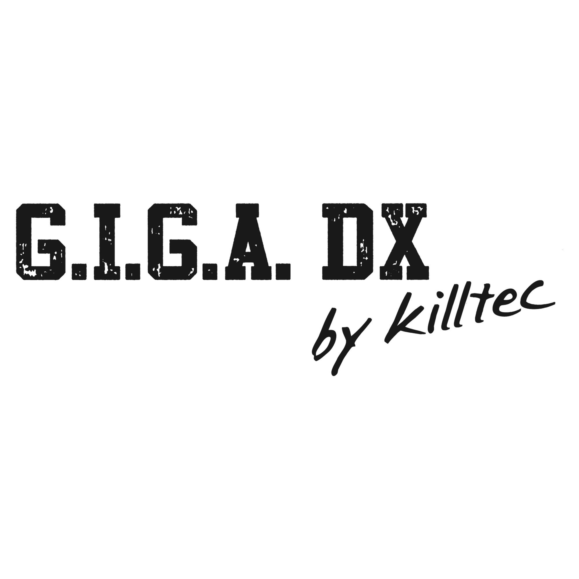 G.I.G.A. DX