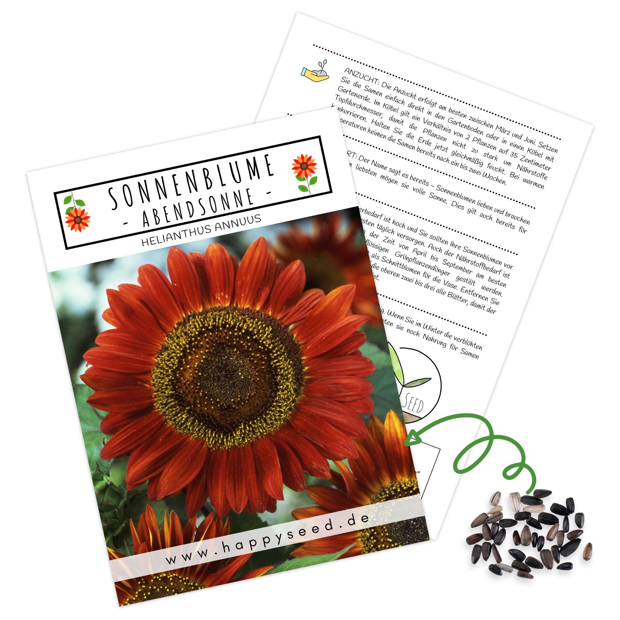 HappySeed Blumensamen Sonnenblumen Samen - Helianthus annuus (Abendsonne), Sonnenblumen