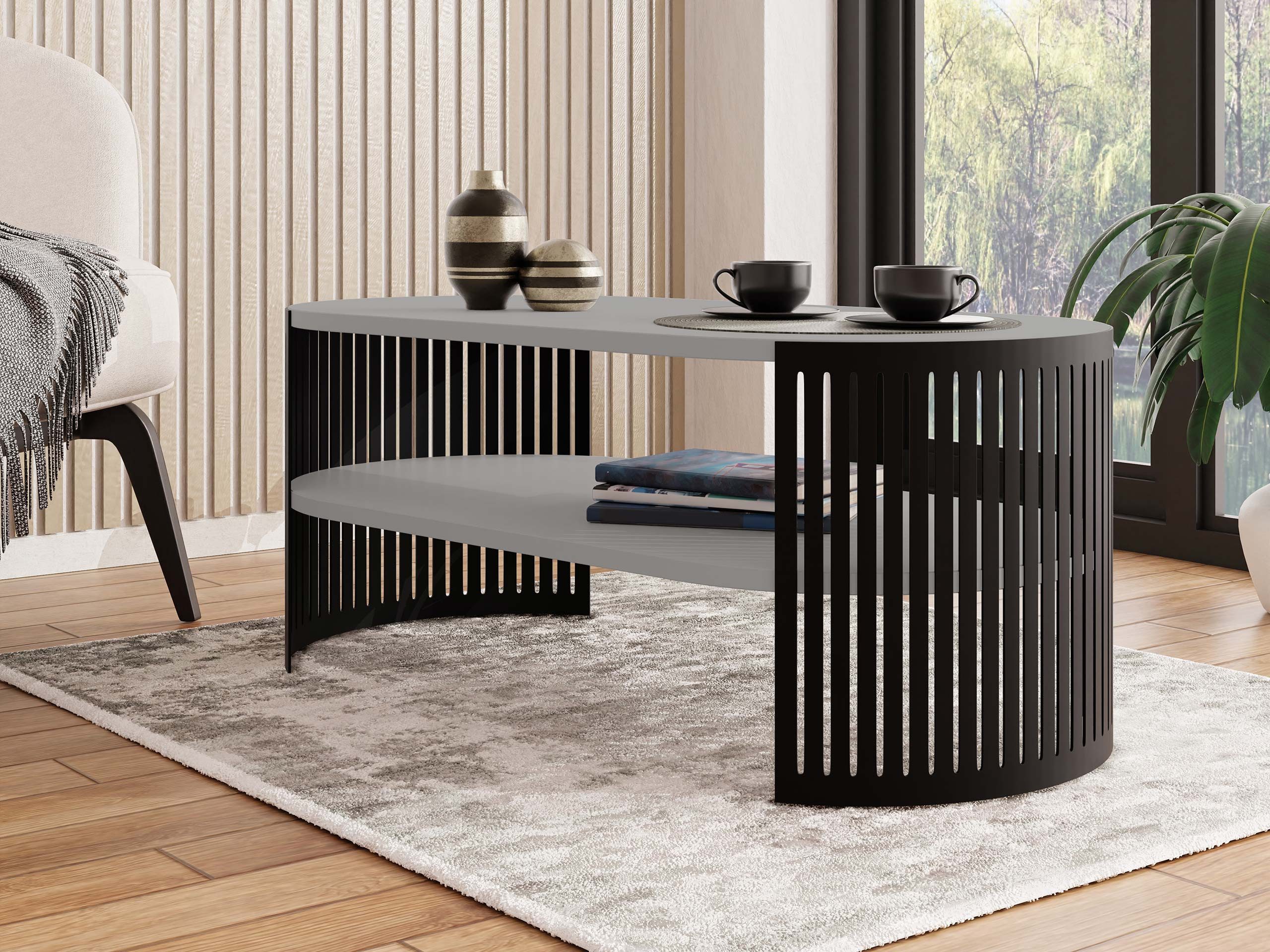 MIRJAN24 Couchtisch Fikoli Oval I (mit Regal), Gestell aus Stahl, 100x50x40 cm