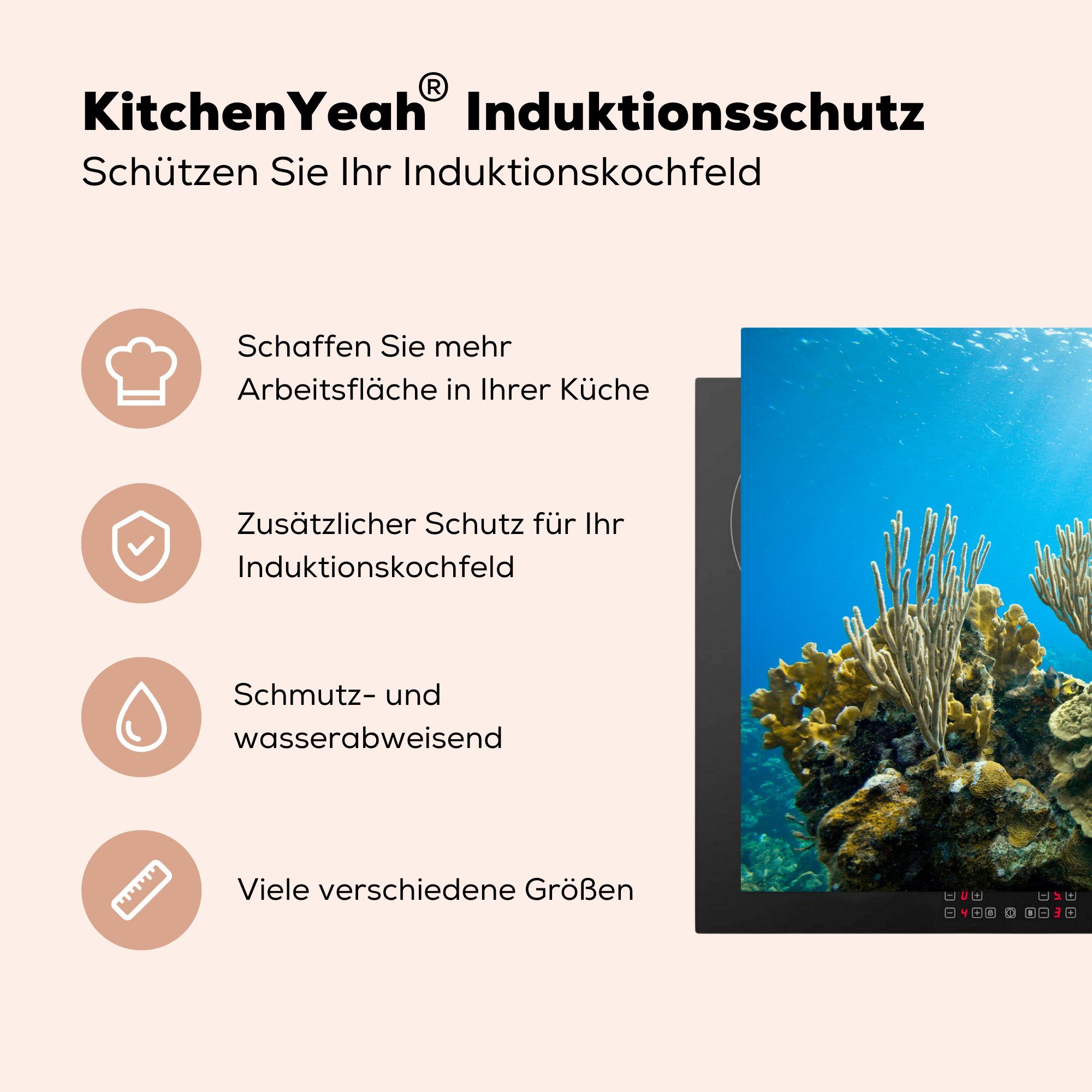 Schutz für einem Vinyl, Herdblende-/Abdeckplatte cm, Meer, in Ceranfeldabdeckung Induktionskochfeld küche, MuchoWow Korallen tlg), 81x52 die klaren (1