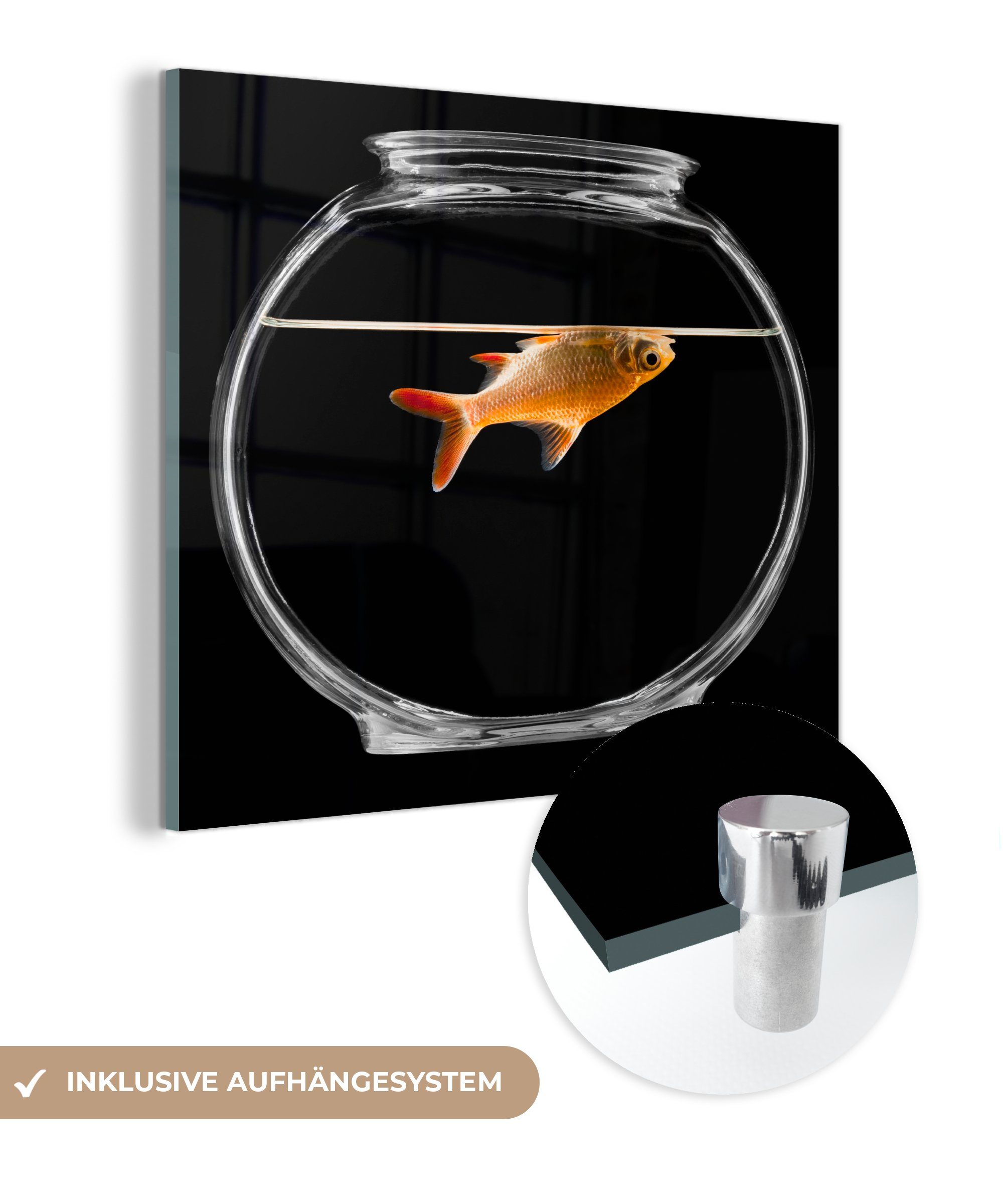 MuchoWow Acrylglasbild Goldfisch in Schale, (1 St), Glasbilder - Bilder auf Glas Wandbild - Foto auf Glas - Wanddekoration