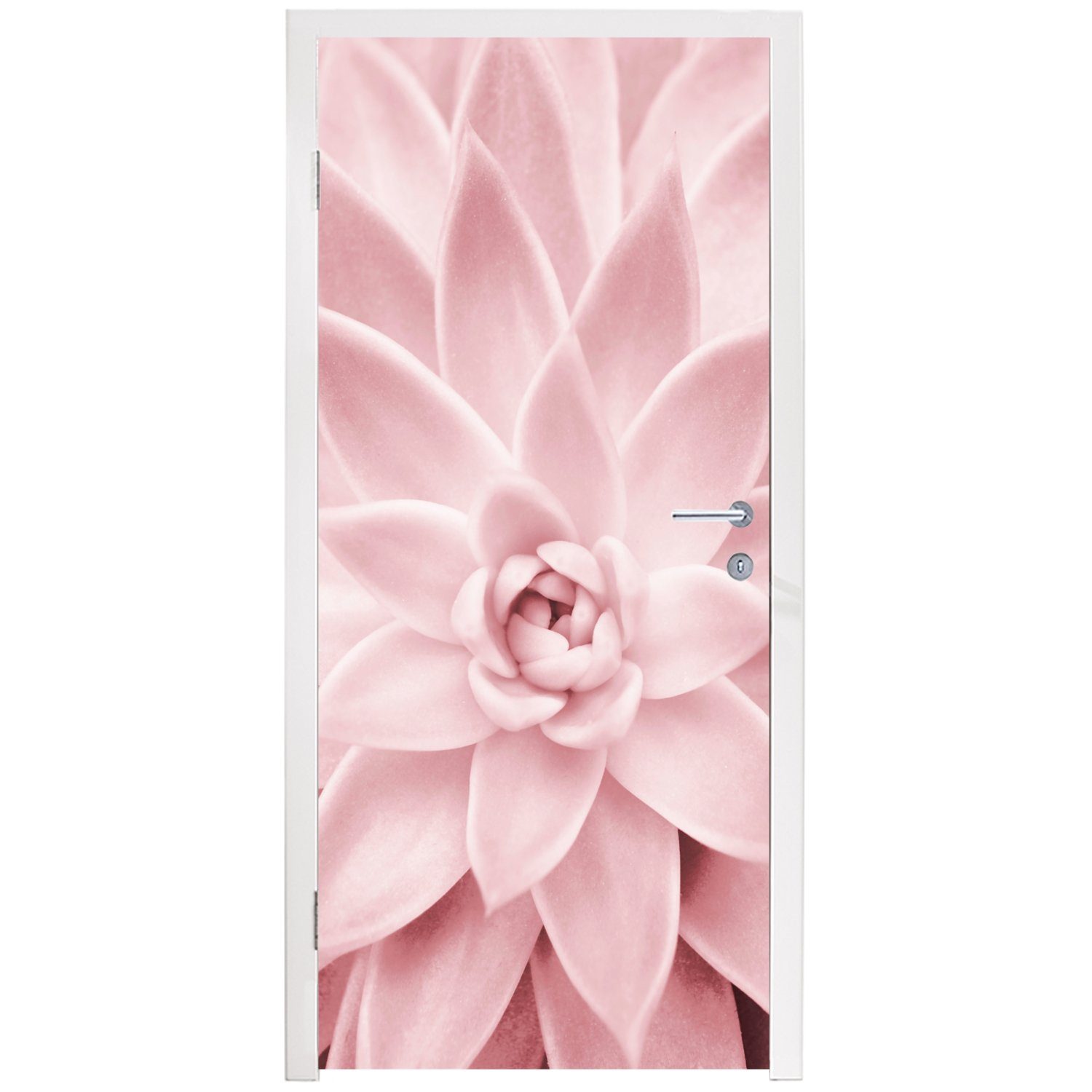 Fototapete 75x205 Tür, - St), cm - bedruckt, Blume Türaufkleber, MuchoWow Natur Matt, (1 - Pflanze, Rosa Türtapete für