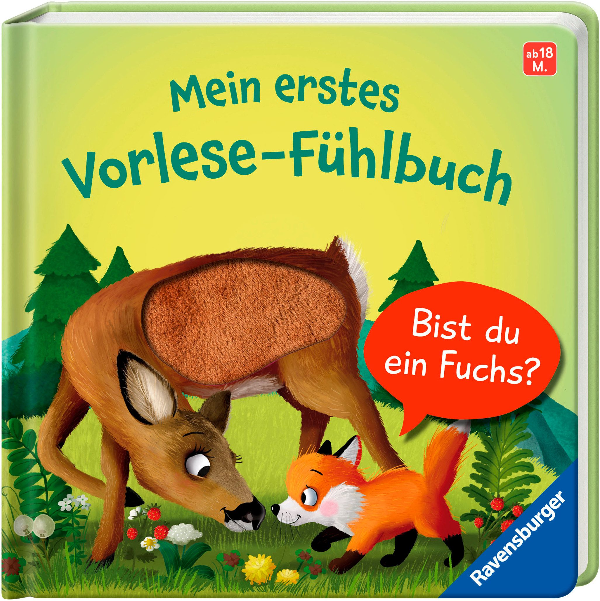 Ravensburger Buch Pappbilderbuch, Mein erstes Vorlese-Fühlbuch: Bist du ein Fuchs?