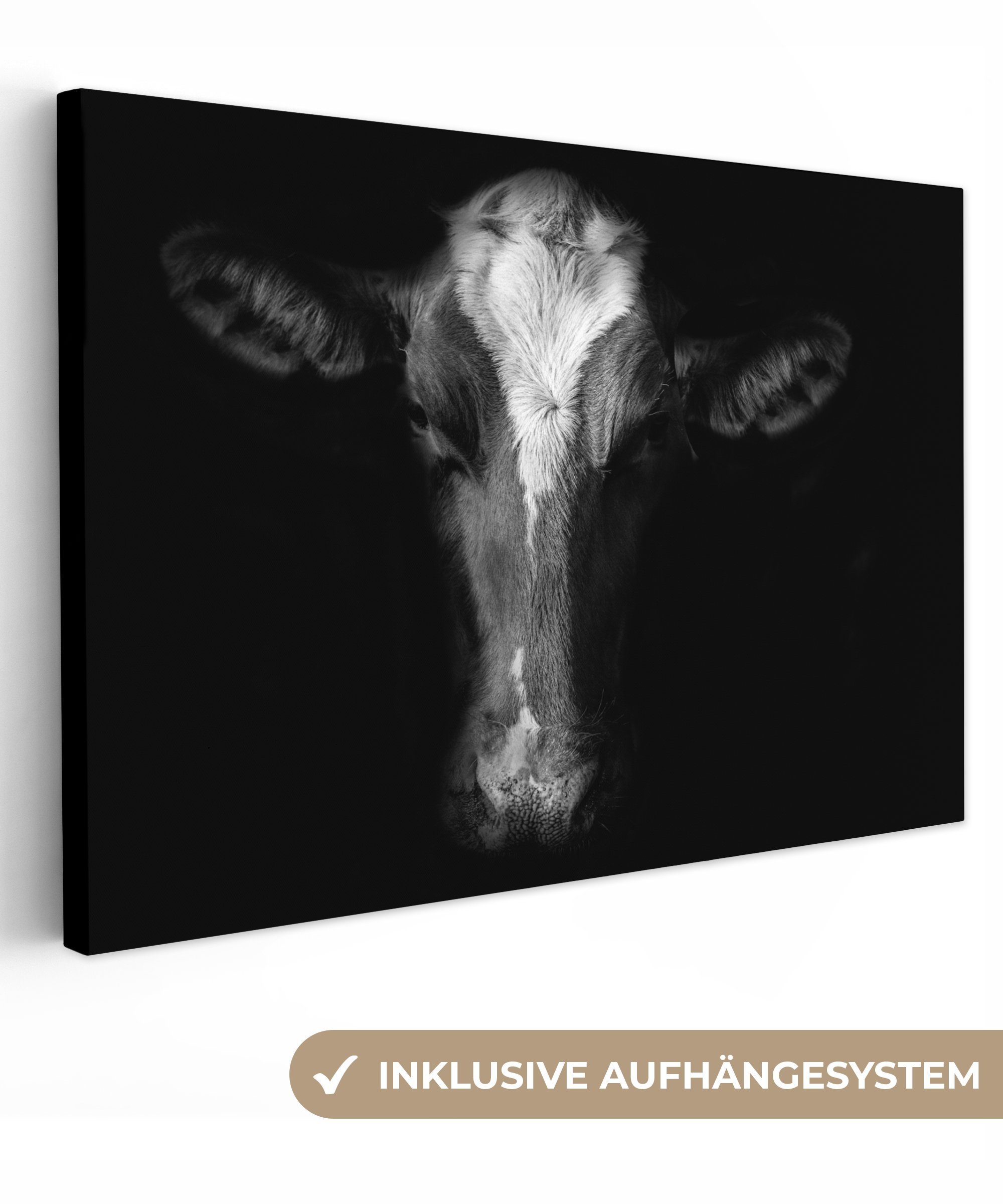 OneMillionCanvasses® Leinwandbild Kuh - Tiere - günstig online kaufen