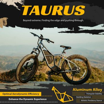 DOTMALL E-Bike Fucare Taurus Vollgefederter 26 zoll MTB 750W 48V 25AH LG Akku