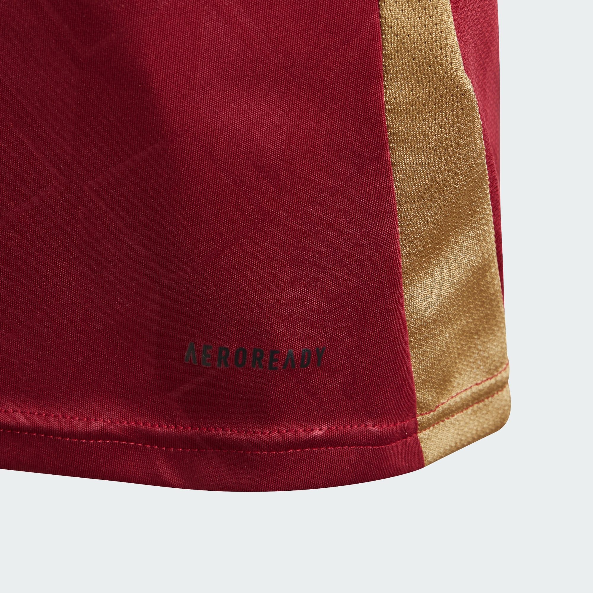 adidas Performance Fußballtrikot BELGIEN 24 HEIMTRIKOT (1-tlg)