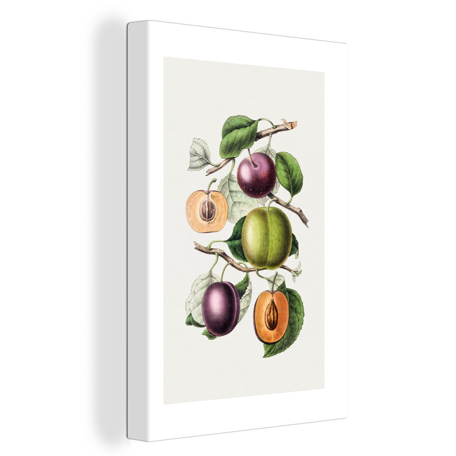 OneMillionCanvasses® Leinwandbild Lebensmittel - Obst - Zweige, (1 St), Leinwandbild fertig bespannt inkl. Zackenaufhänger, Gemälde, 20x30 cm