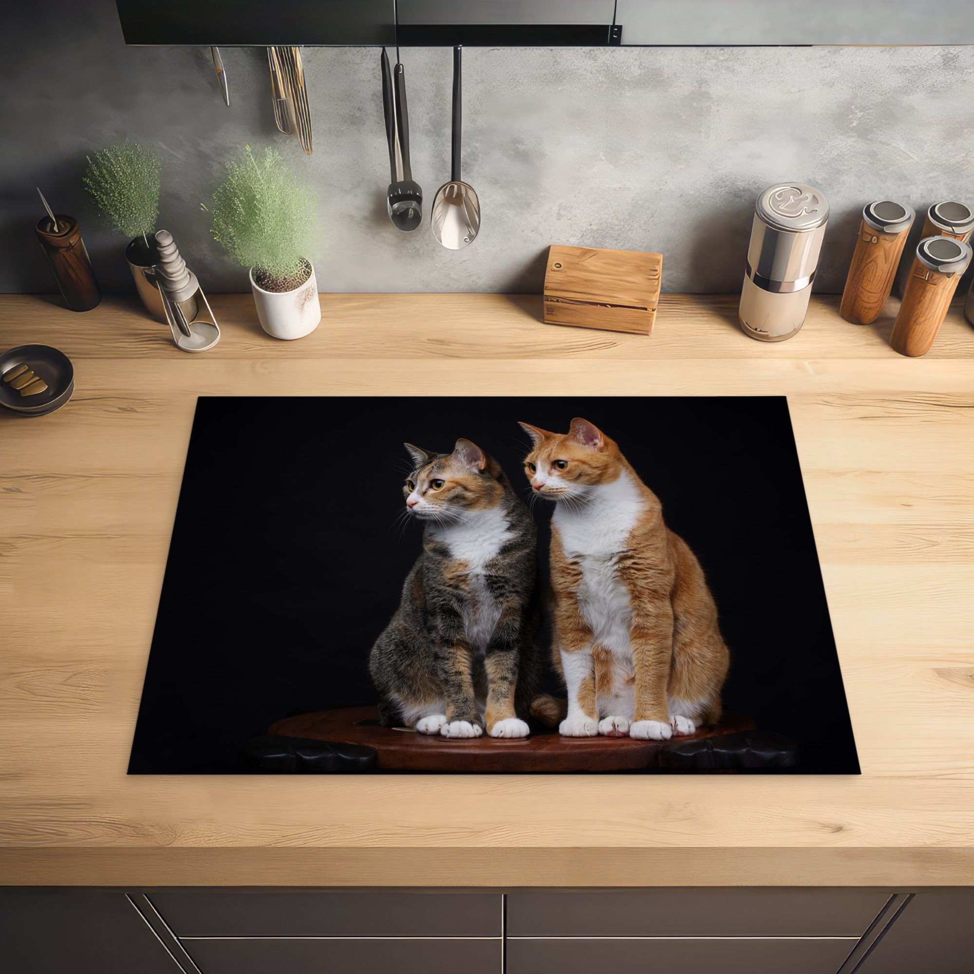 MuchoWow Herdblende-/Abdeckplatte Zwei Katzen auf schwarzem tlg), cm, Arbeitsfläche (1 70x52 Mobile nutzbar, Ceranfeldabdeckung Hintergrund, Vinyl