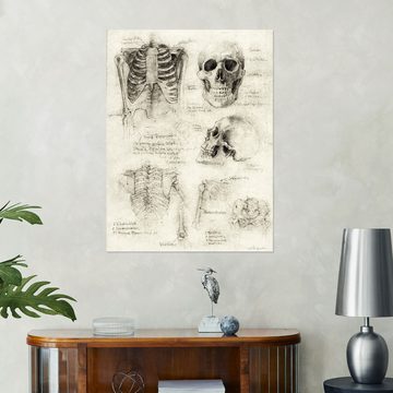 Posterlounge Wandfolie Mike Koubou, Skelette, Klassenzimmer Vintage Illustration