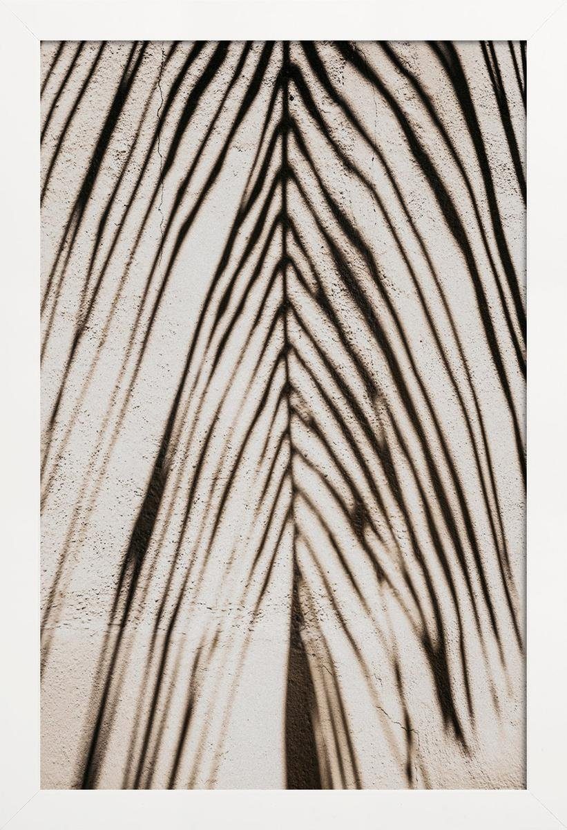 weißen Poster Flora Galeriequalität breiten, Fine-Art-Print & mit St), mit (1 einem Juniqe in Rand Holzrahmen, Poster 1 cm Fauna