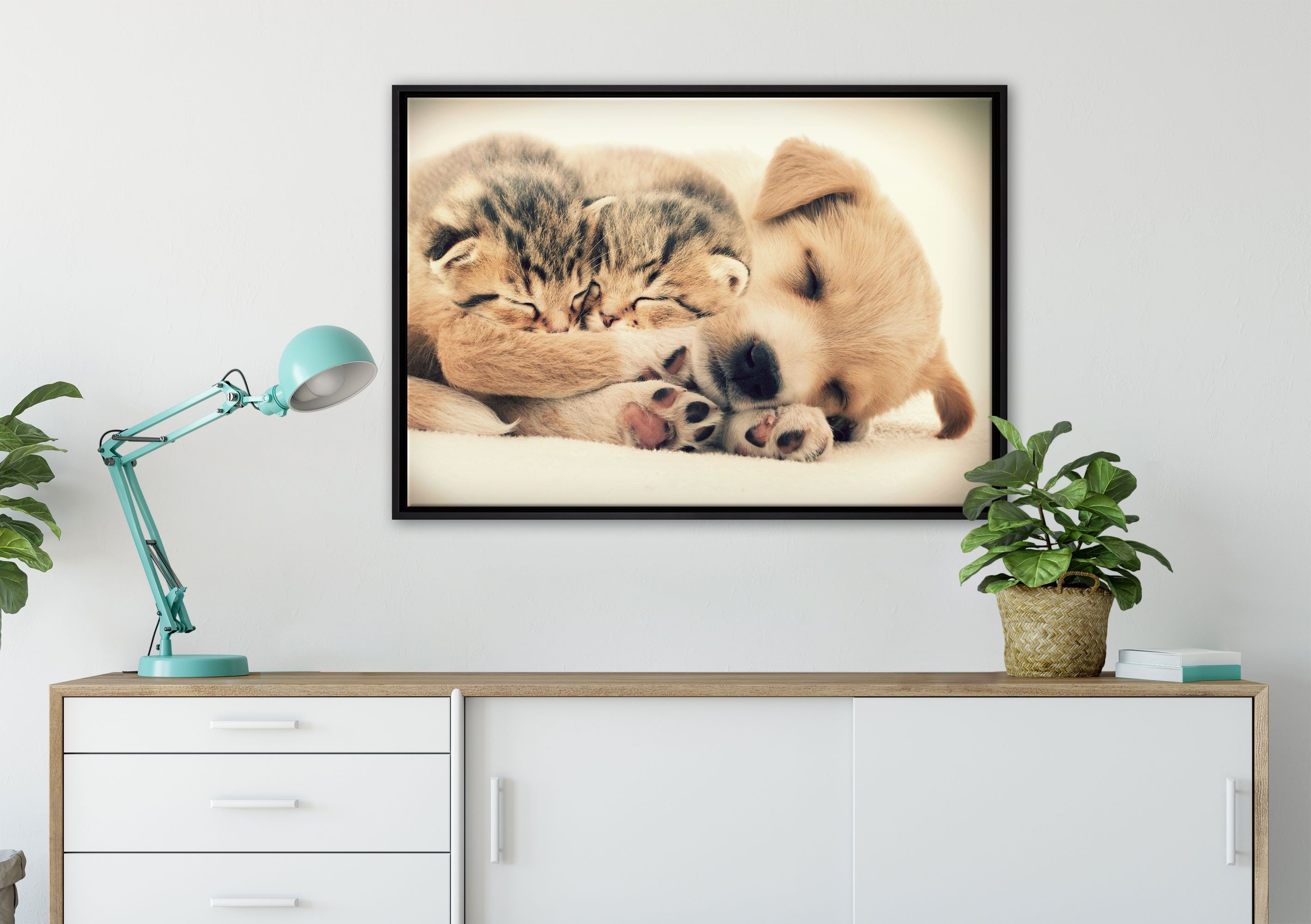 Pixxprint Leinwandbild Hundewelpe mit Kätzchen, Wanddekoration St), bespannt, Zackenaufhänger kleinen Schattenfugen-Bilderrahmen einem in inkl. (1 gefasst, fertig Leinwandbild