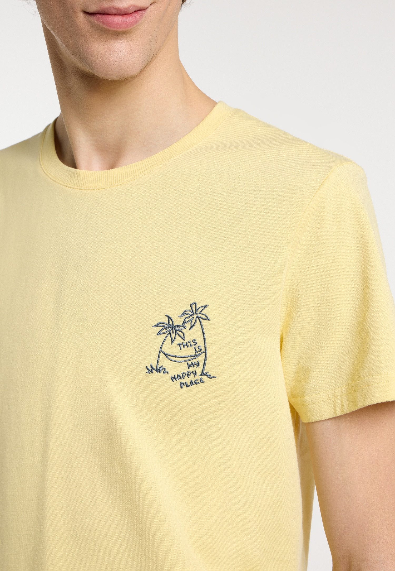 Ragwear T-Shirt ENDREW B (Packung, 1-tlg) günstig online kaufen