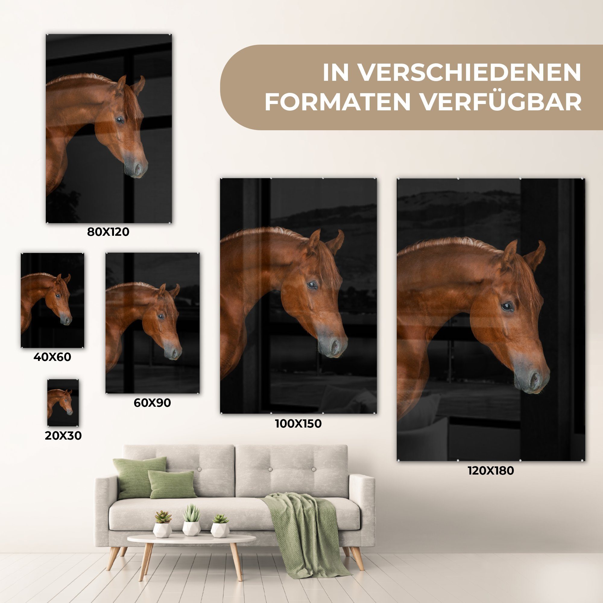 Pferd MuchoWow Tier, - Glas Foto auf Wanddekoration - (1 auf Bilder Wandbild St), Schwarz Acrylglasbild Glasbilder Glas - - -