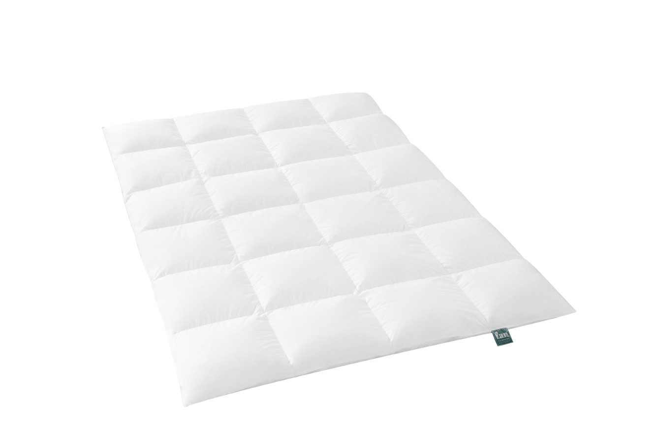 fan Schlafkomfort Exklusiv Daunenbettdecke Bettdecke Daunen Alaska Kassettenbett, Füllung: Weiße neue Gänsedaunen und Federn, Bezug: 100% Baumwolle