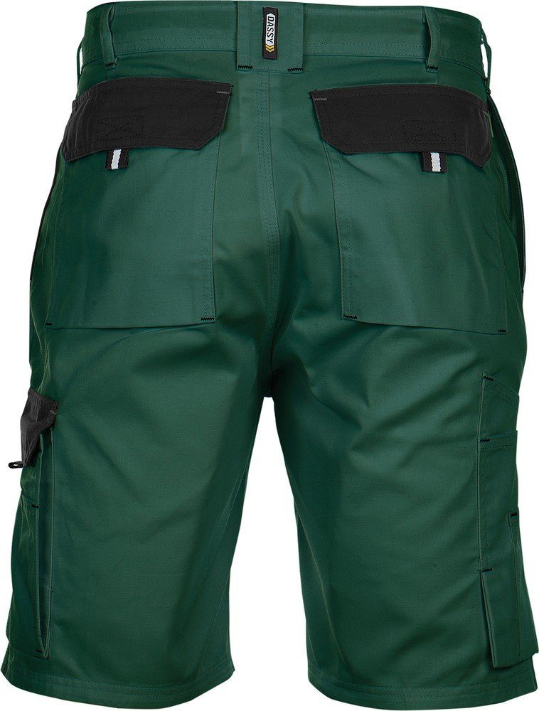 Dassy Shorts günstig online kaufen
