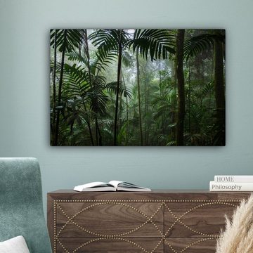 OneMillionCanvasses® Leinwandbild Regenwald - Tropisch - Dschungel - Bäume - Pflanzen, Grün (1 St), Leinwandbilder XXL für Wohnzimmer 150x100 cm