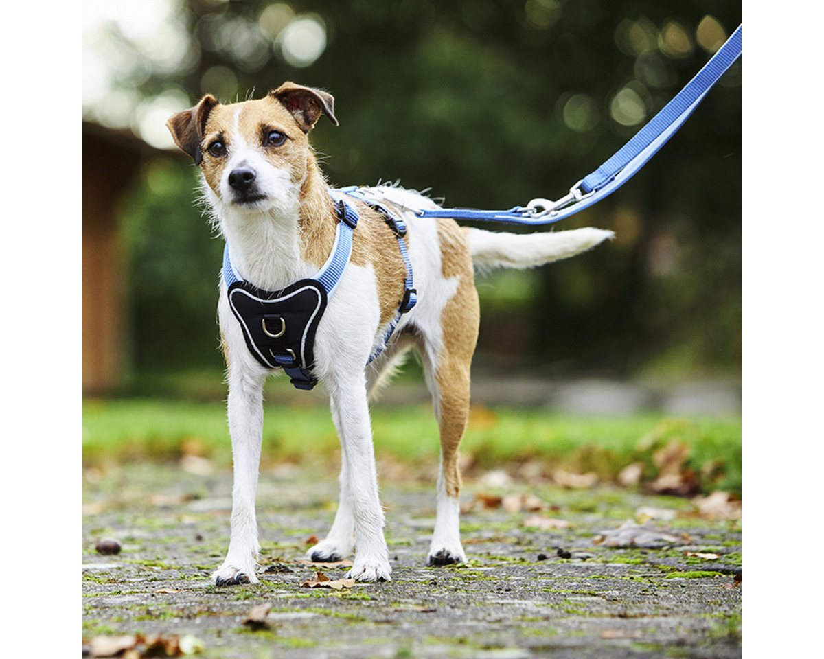 Thumbnail - Wolters Hunde-Geschirr Geschirr Professional Comfort aqua/azur
