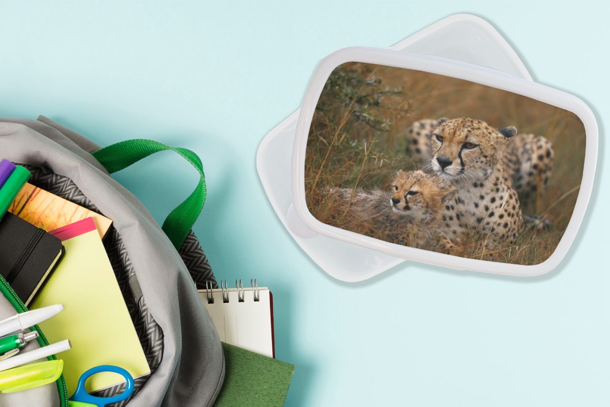 Geparden und Brotbox Erwachsene, Jungs zusammen, Brotdose, weiß für MuchoWow Kunststoff, und Mädchen für sitzen (2-tlg), Lunchbox Kinder