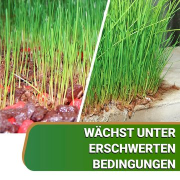 OraGarden Rasendünger Rasenpellets "Dürreresistent" MAXI mit natürlichem Wasserspeicher, ca-8,4-qm