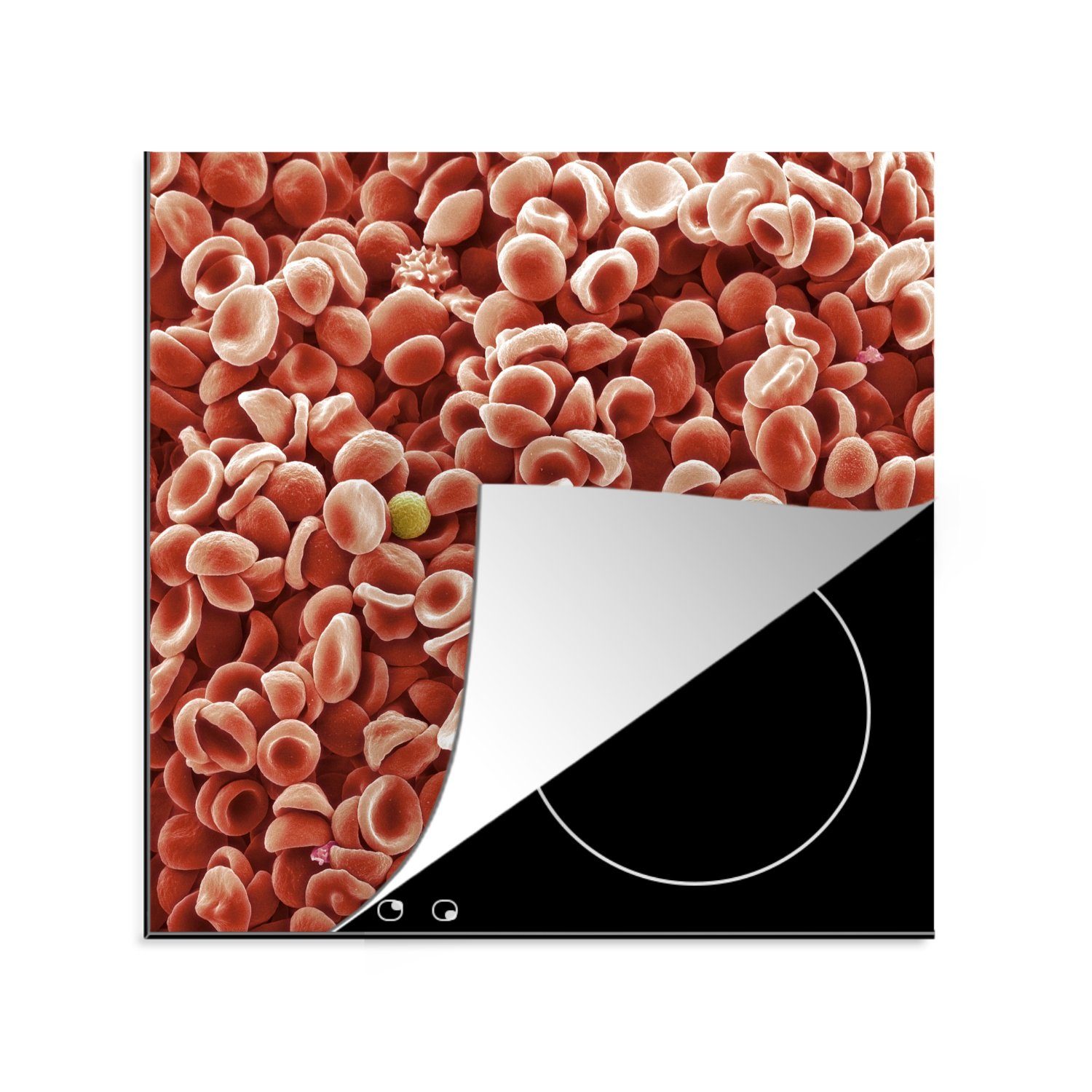 Die Arbeitsplatte cm, Blutzellen Herdblende-/Abdeckplatte eines für küche 78x78 tlg), Ceranfeldabdeckung, MuchoWow (1 Vinyl, Menschen,