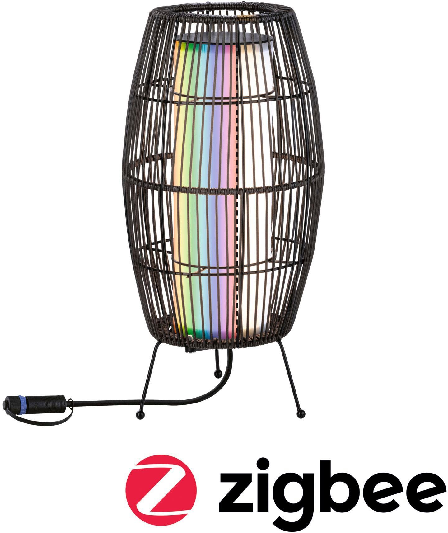 Paulmann LED Gartenleuchte Outdoor Plug IP44 IP44, Shine & LED Basket RGBW Warmweiß, 40 ZigBee ZigBee fest RGBW integriert