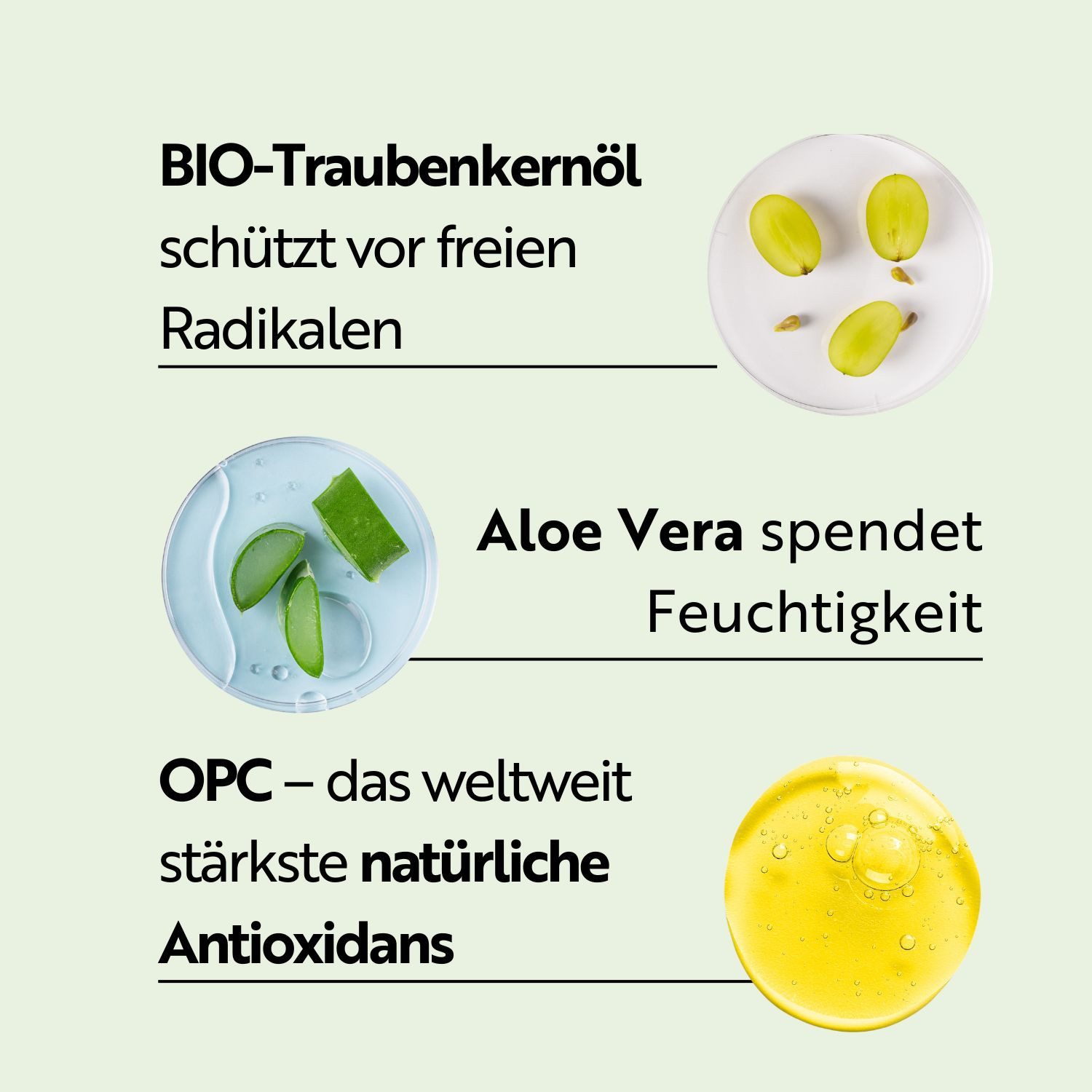 M. Asam Tagescreme Vino Gold 24h face cream 50 ml