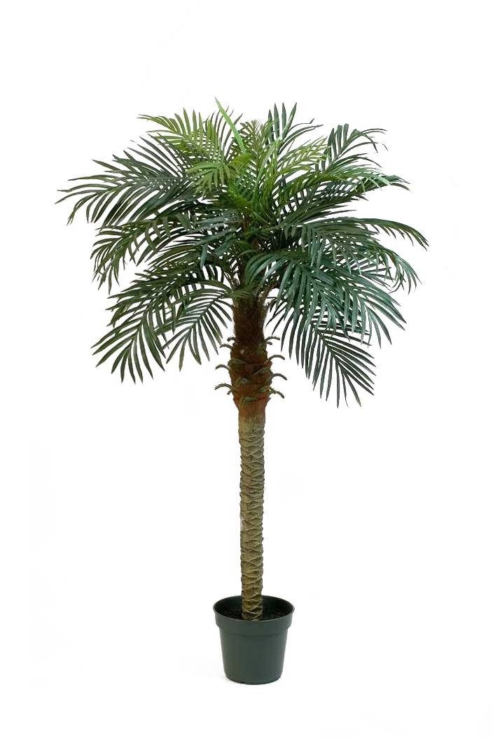 Kunstpalme Künstliche Phönix Palme, 21 Palmwedel, 150cm - Dekopalme Dattelpalme, artplants, Höhe 150.0 cm