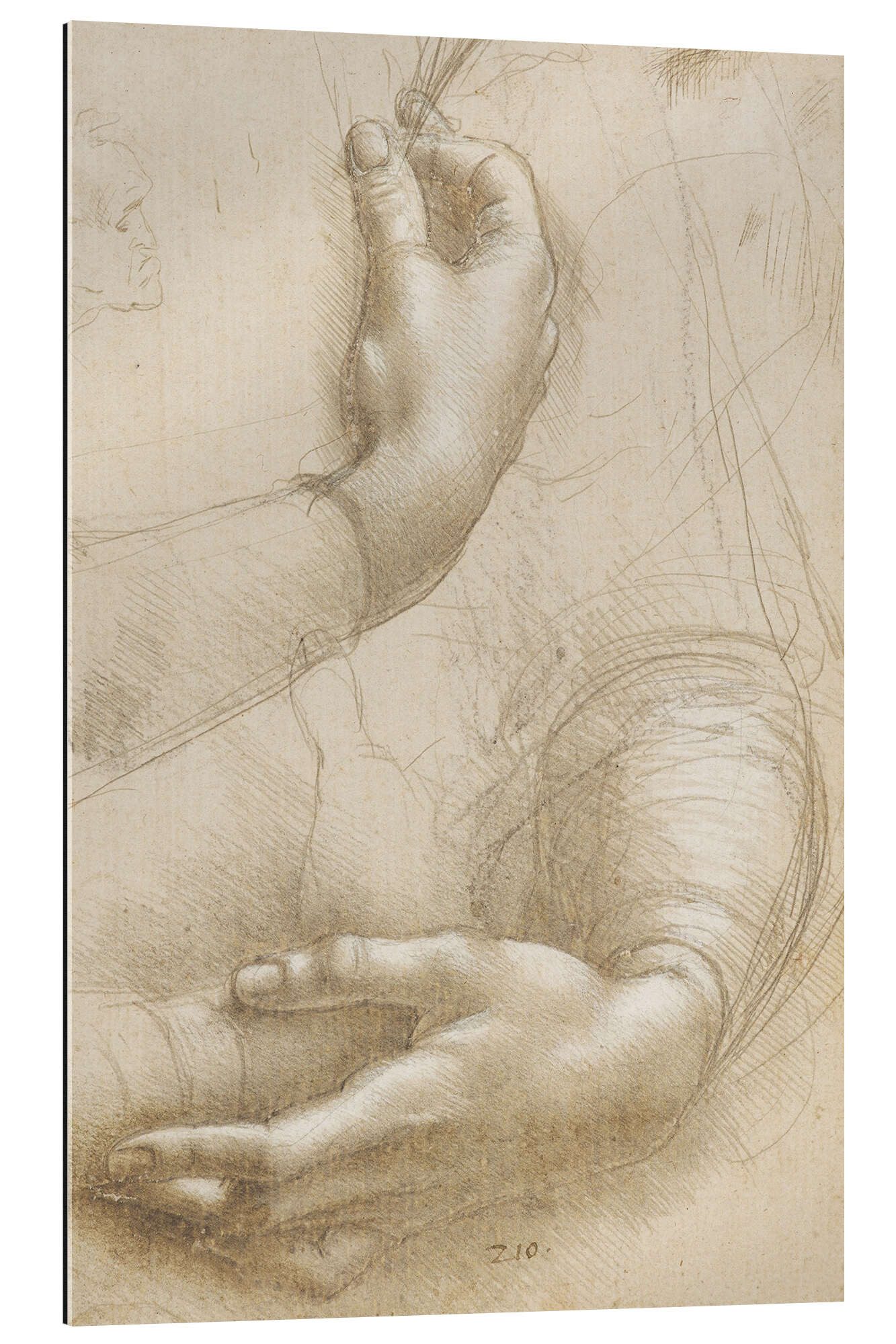XXL-Wandbild Leonardo da Vinci