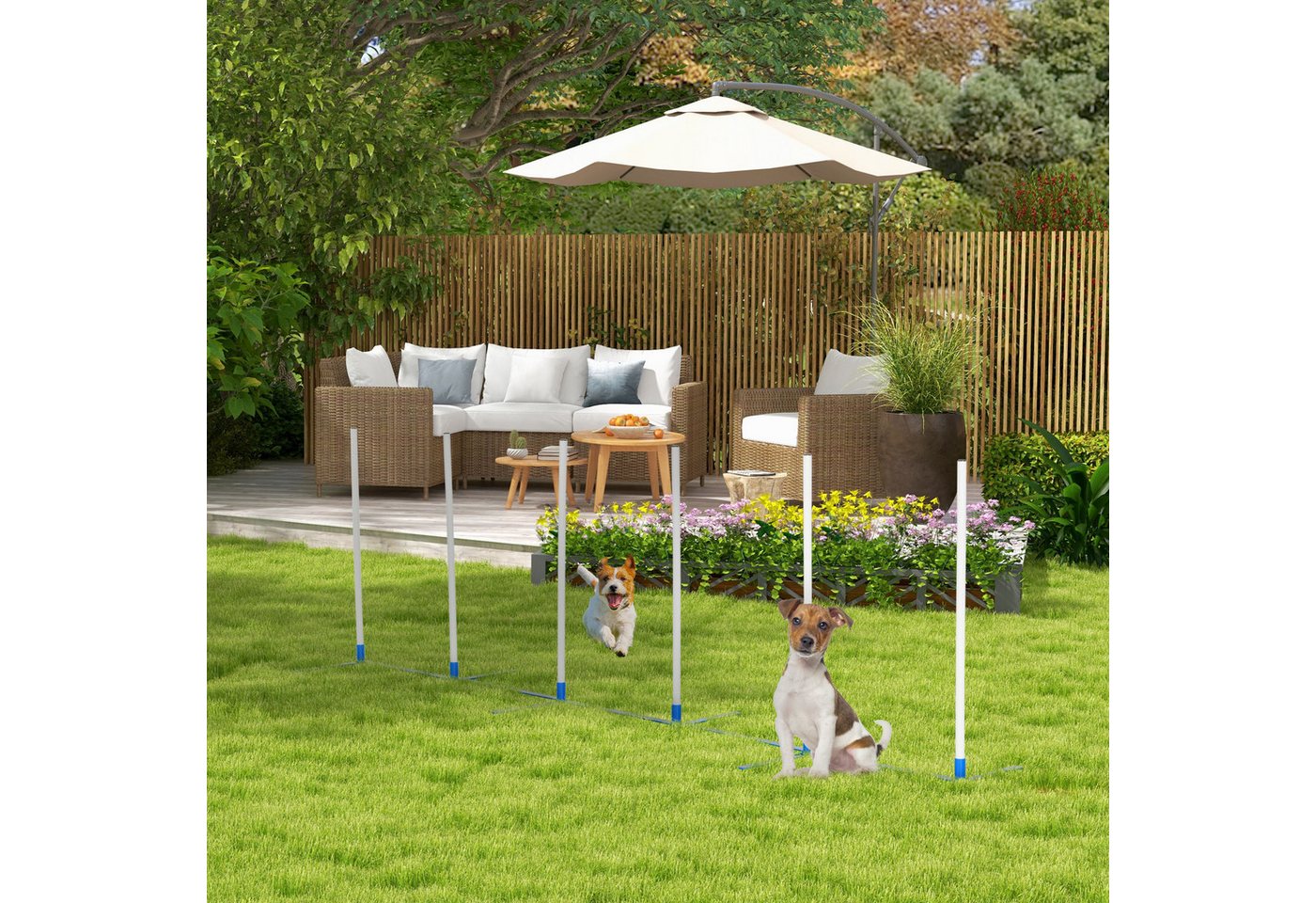 Thumbnail - MC Star Tierbett Agility Training Set für Haustiere mit 600D Tasche Polyester, Weiß Blau 305 x 60 x 94 cm für Hundesport