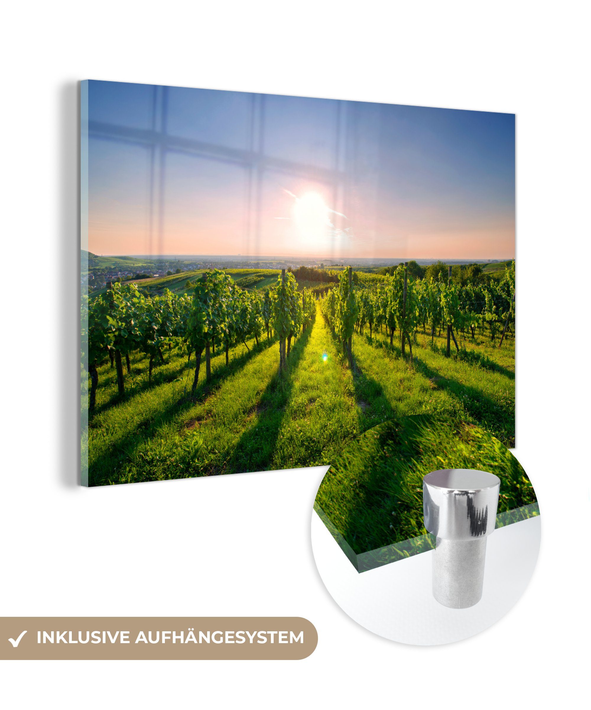 MuchoWow Acrylglasbild Grüne Weinberge bei Sonnenaufgang, (1 St), Acrylglasbilder Wohnzimmer & Schlafzimmer | Bilder