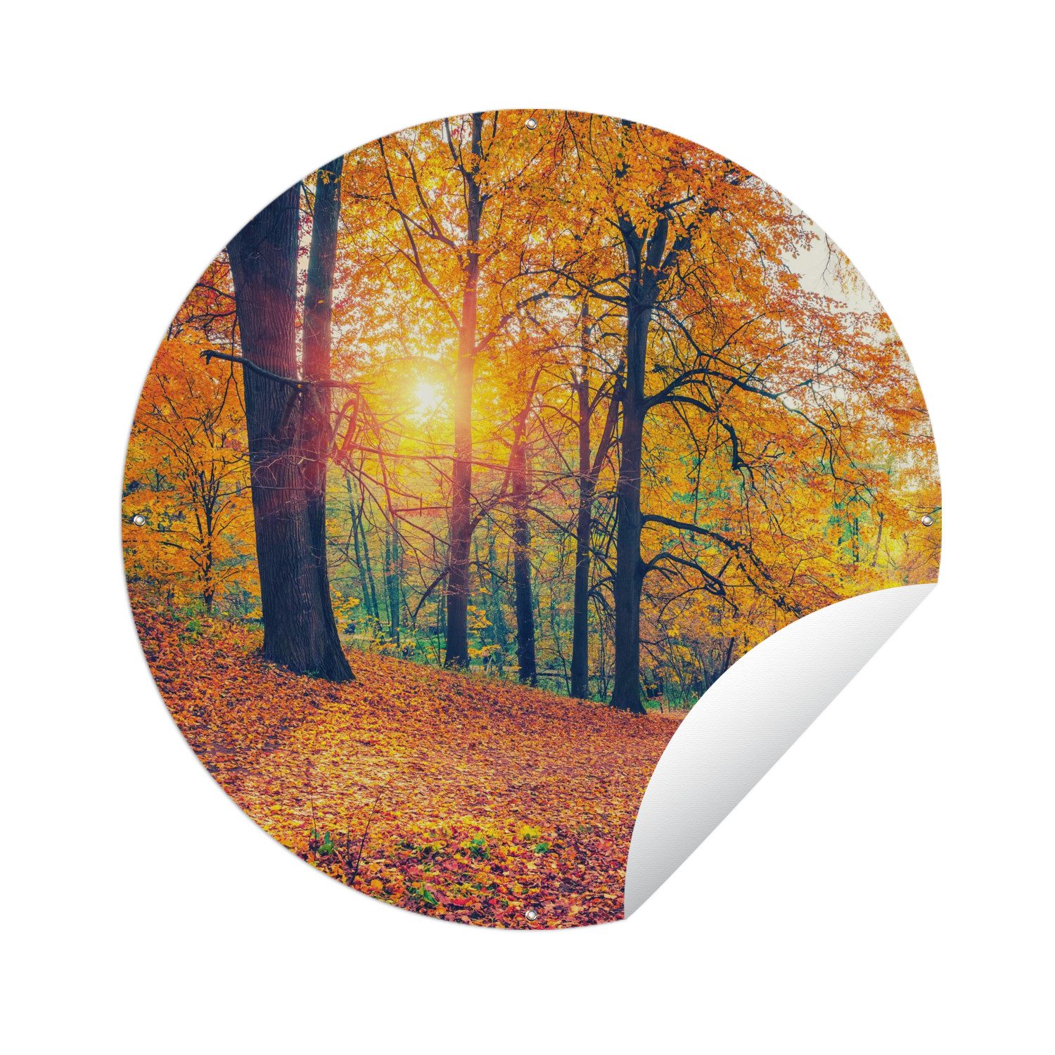 OnlyWow Poster für Garten Bäume – Herbst – Wald – Herbstliche Blätter, Gartenpos