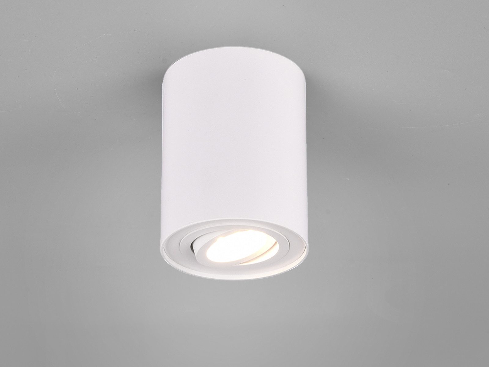 TRIO Leuchten LED Deckenstrahler, Dimmfunktion, LED günstig online kaufen