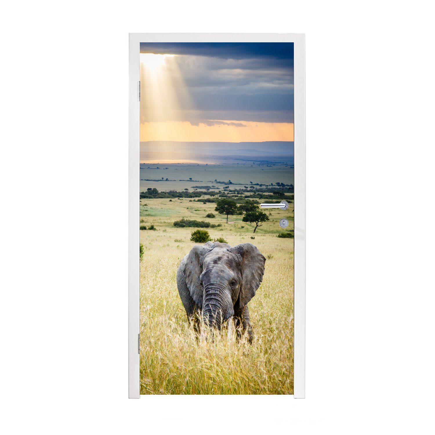 MuchoWow Türtapete Elefant - Tiere - Landschaft - Sonne - Natur, Matt, bedruckt, (1 St), Fototapete für Tür, Türaufkleber, 75x205 cm