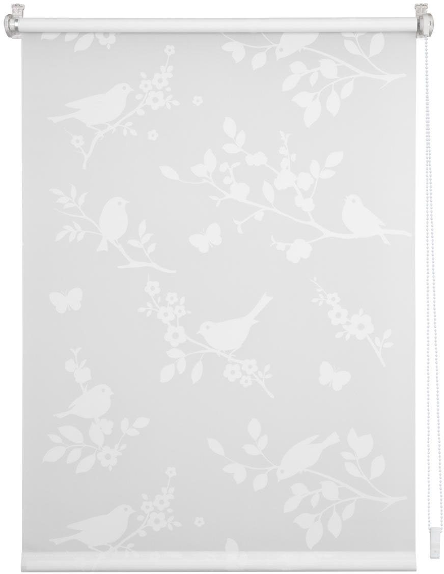 Seitenzugrollo Rollo Klemmfix, ohne Bohren, blickdicht - Ausbrenner, LICHTBLICK ORIGINAL, blickdicht, freihängend, Klemmfix