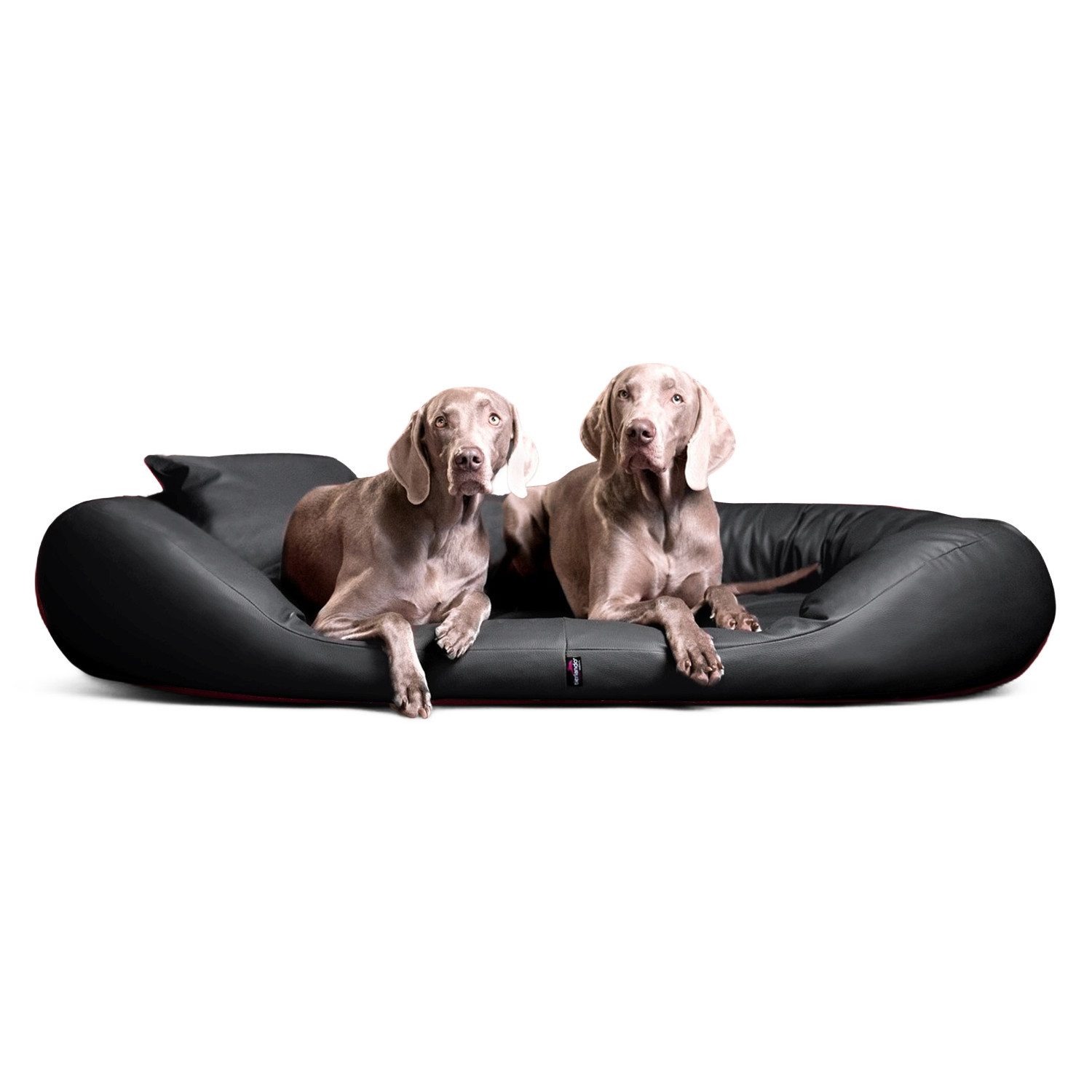 tierlando® Tierbett SAMMY EASY CLEAN Orthopädisches Hundebett, Abwischbar, Haar resistent, ergonomisch