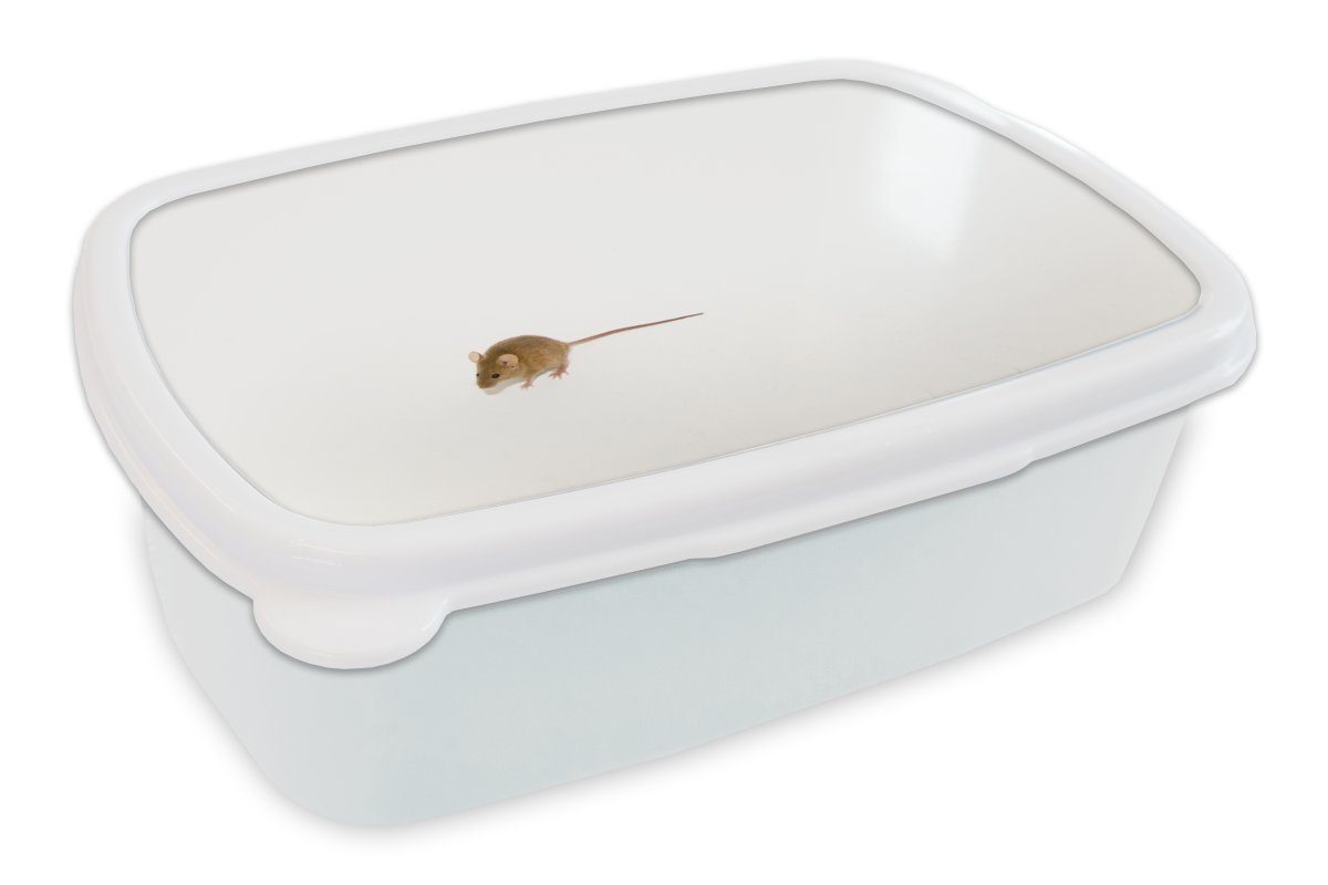 MuchoWow Brotdose, und (2-tlg), Brotbox für - Maus Lunchbox Tiere Jungs Mädchen für Kinder Kunststoff, Weiß, - Erwachsene, und