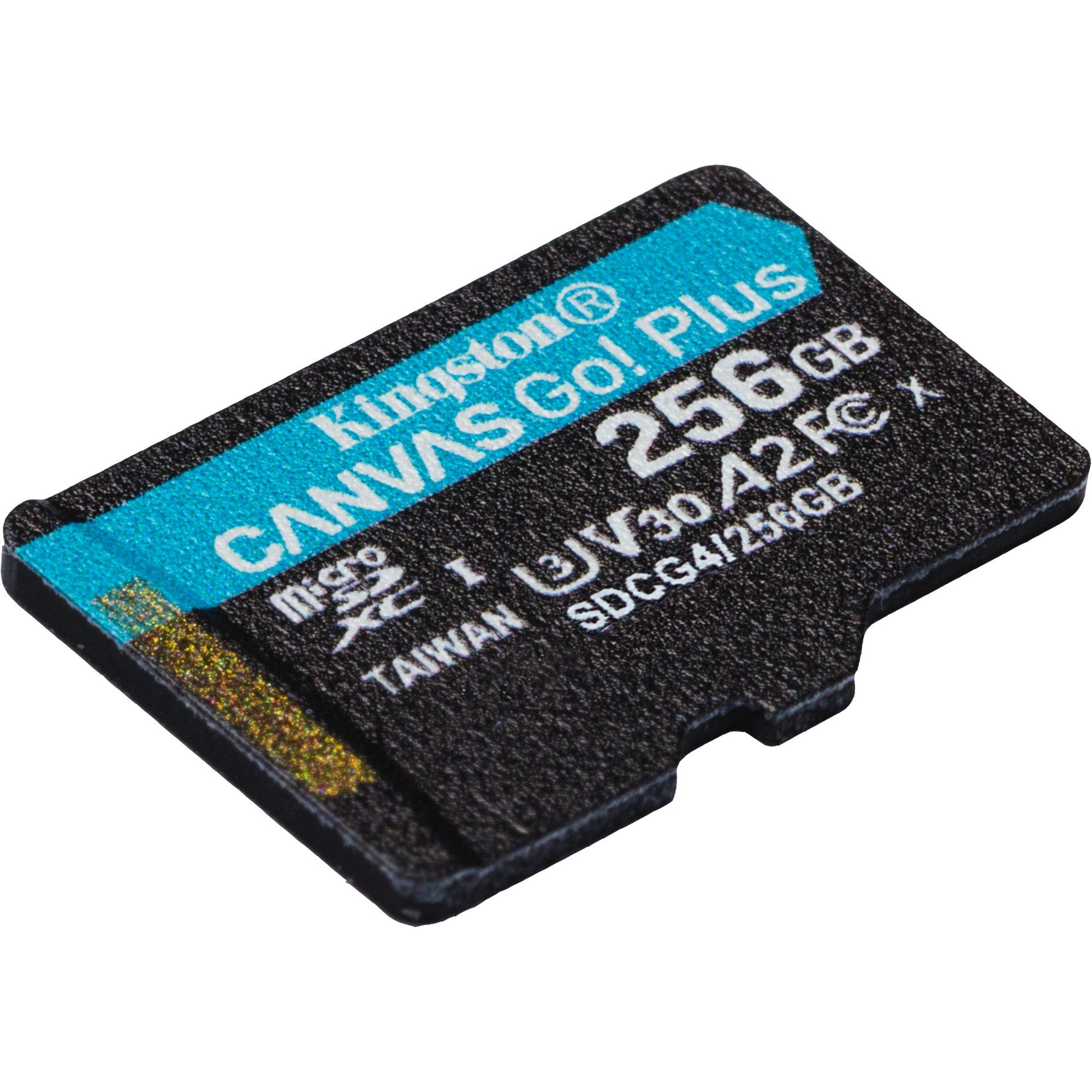 Kingston Kingston Canvas Go! Plus 256 GB microSDXC, externer Speicher (256 GB GB)