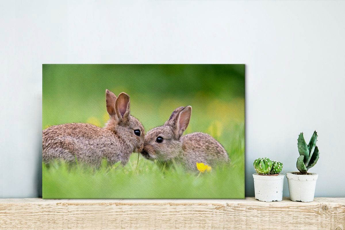 Leinwandbilder, (1 cm Wandbild Wanddeko, Aufhängefertig, mit Zwei gegeneinander, 30x20 St), Kaninchen OneMillionCanvasses® Leinwandbild Schnauzen ihren
