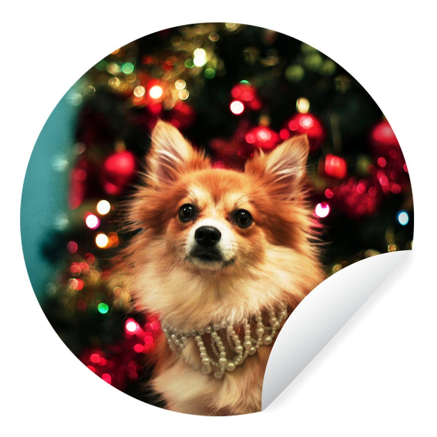 MuchoWow Wandsticker Hund zu Weihnachten (1 St), Tapetenkreis für Kinderzimmer, Tapetenaufkleber, Rund, Wohnzimmer
