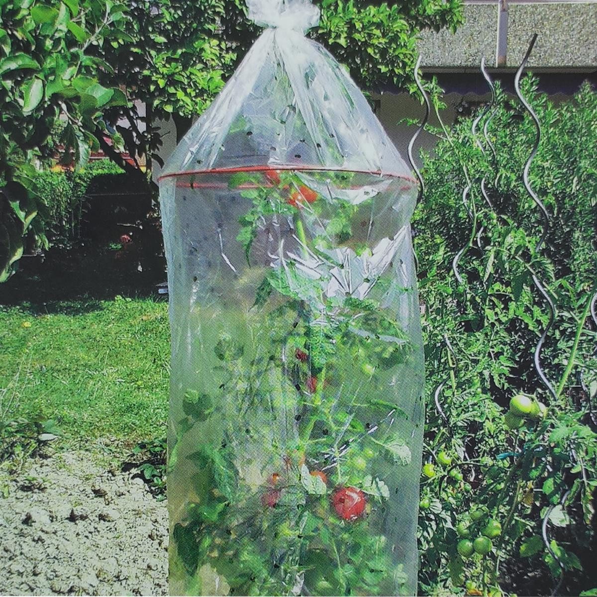 Prima Flora Winterschutzhaube Tomatenreifhaube 3er Set gelocht transparent (Set, 3-St., Tomatenreifehaube), Frühbeet Tomatenschutz Tomatenhülle Pflanzenhülle Tomatenhut