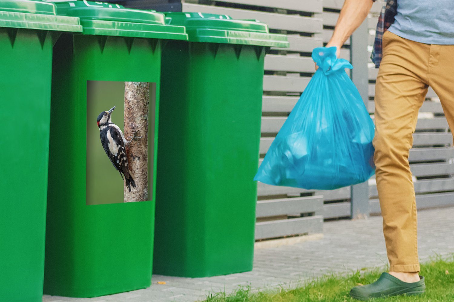 Mülleimer-aufkleber, Ein Abfalbehälter auf Buntspecht Baum einen Wandsticker Sticker, MuchoWow (1 Mülltonne, St), klettert Container,