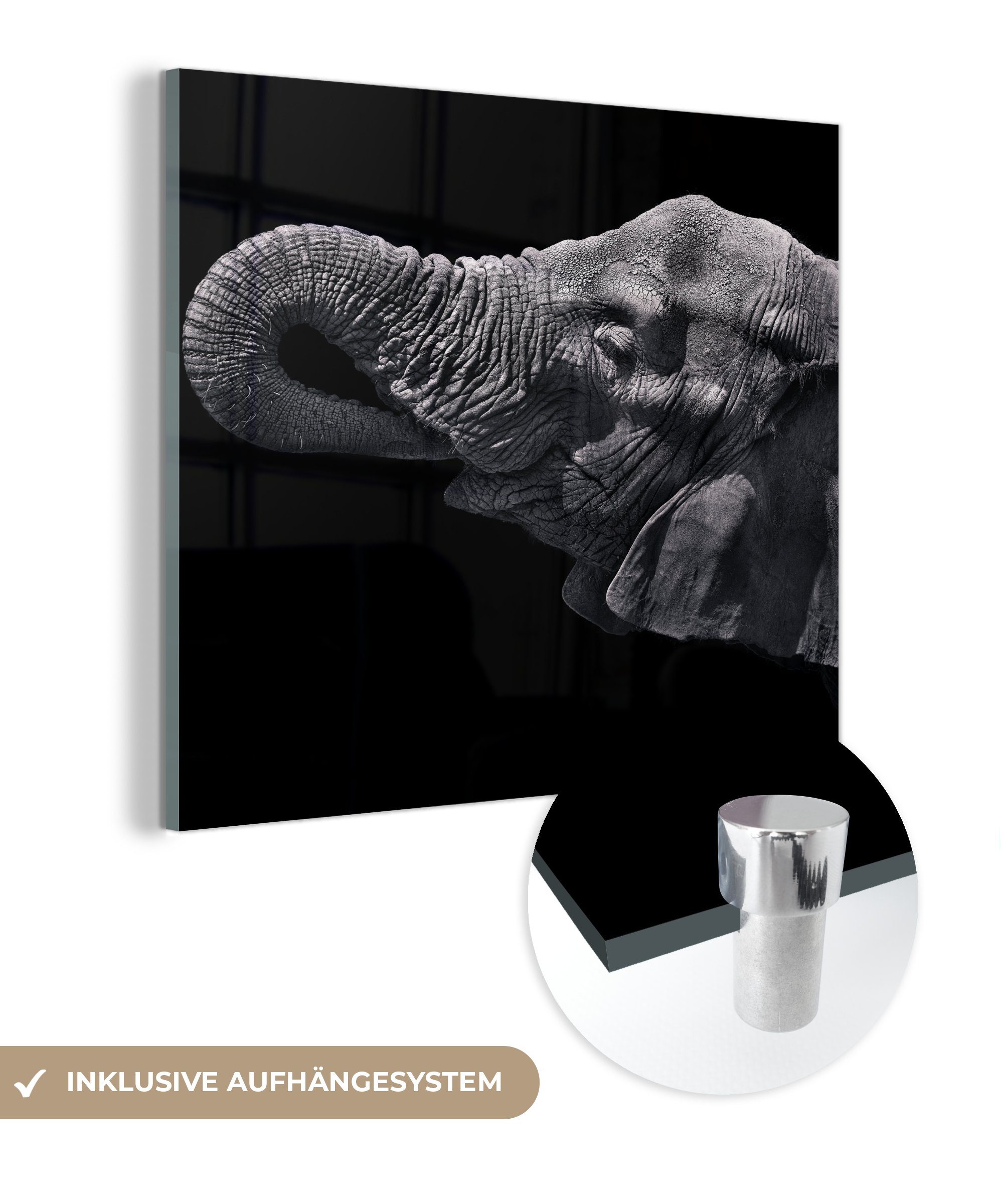 MuchoWow Acrylglasbild - Wandbild - Wanddekoration - (1 - Natur, Elefant - auf Schwarz Tiere auf Glas St), Bilder Glasbilder Glas Foto 