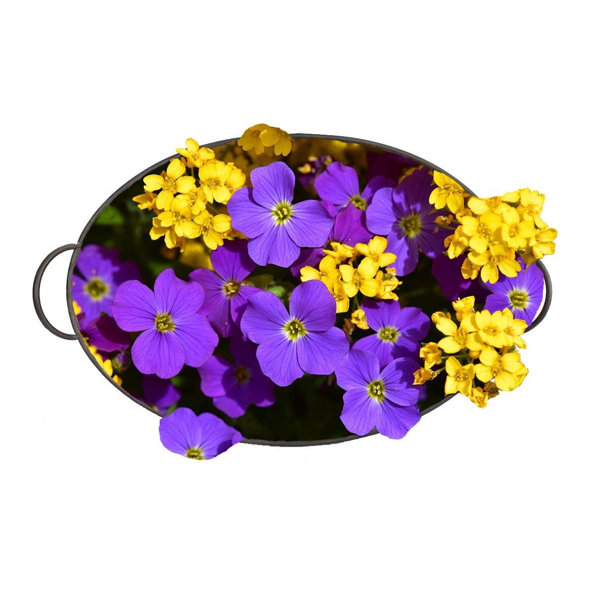 Pflanztopf 3er tragbar, St), vielseitig verwendbar Zinkwannen ineinander verstaubar, Blumentopf (3 colourliving dekorativ, ovale Griffe Blumentopf Blumenmuster Set