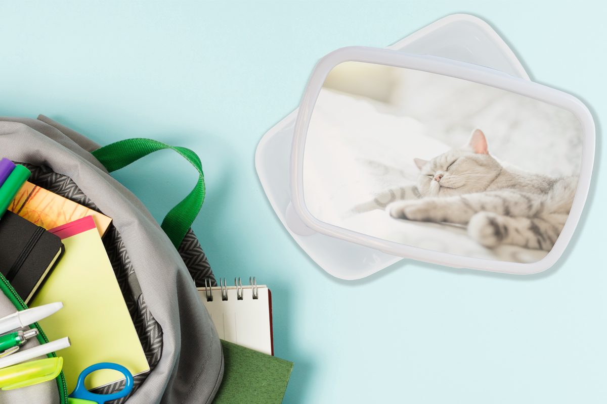 Jungs Brotdose, Katze Die und für Sofa, Lunchbox (2-tlg), auf Kunststoff, für Erwachsene, MuchoWow weiß Mädchen Brotbox dem Kinder und schläft