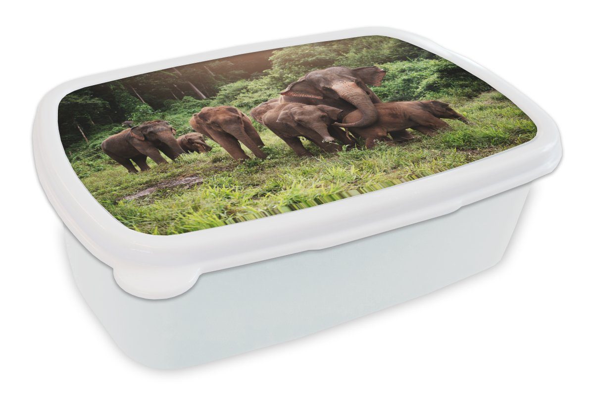 MuchoWow Lunchbox Elefant - Tiere - Wald - Gras - Grün, Kunststoff, (2-tlg), Brotbox für Kinder und Erwachsene, Brotdose, für Jungs und Mädchen weiß