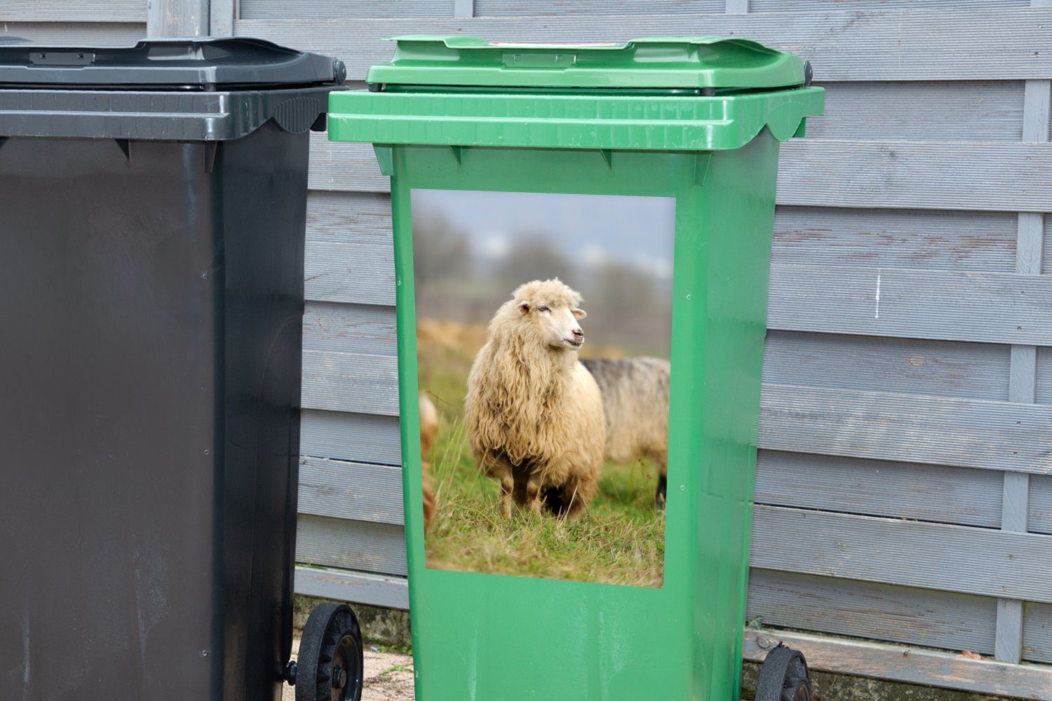 Gras St), Wandsticker Abfalbehälter Wolle Sticker, - Schafe Mülleimer-aufkleber, Mülltonne, Container, - MuchoWow (1