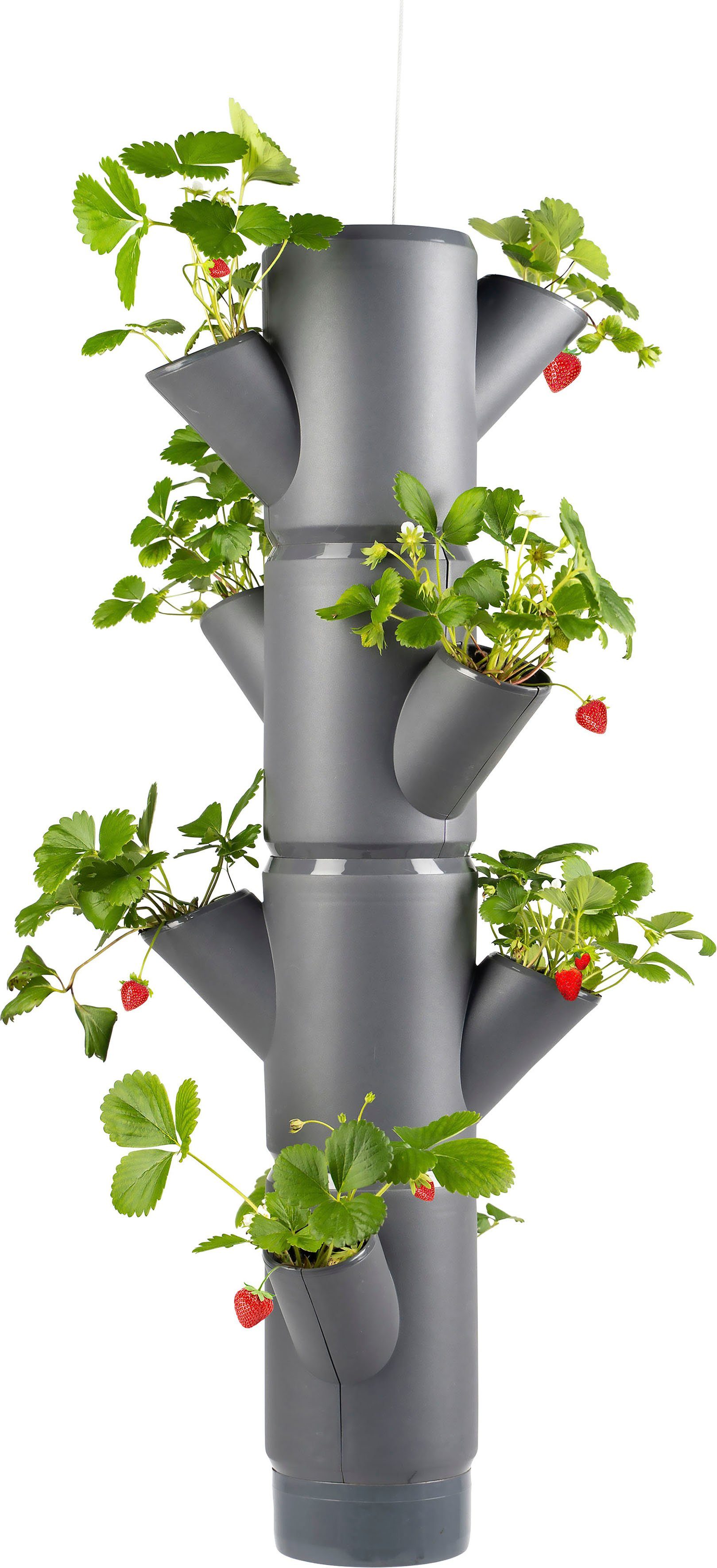 Gusta Garden Pflanzkübel SISSI STRAWBERRY Erdbeerampel, 4 Etagen inkl. Hängeset, Erdbeeren anbauen leicht gemacht anthrazit | Pflanzkübel